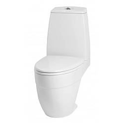 Унитаз-компакт Am.Pm Bliss L C538607SC с микролифтом