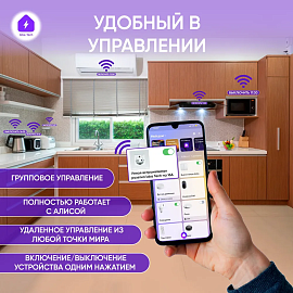 Умная встраиваемая WIFI розетка с голосовым управлением Алиса в стеклянном корпусе 0017