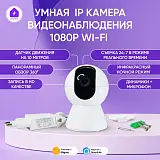 Умная IP камера обзор 360гр с датчиком движения и ночным режимом Tuya Smart HD1080p 0086-1