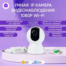 Умная IP камера обзор 360гр с датчиком движения и ночным режимом Tuya Smart HD1080p 0086-1