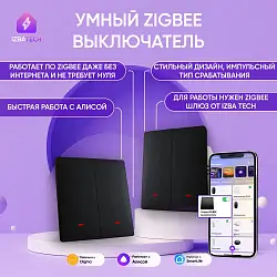 Умный выключатель двухклавишный черного цвета Zigbee БЕЗ НУЛЯ импульсный с подсв 00232-4
